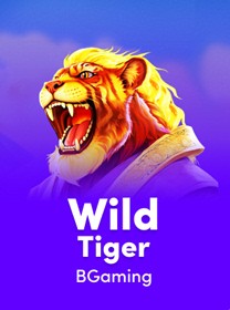 BGaming - Wild Tiger jogo slots​